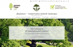 конкурс «Европейское дерево года-2021» - фото - 1