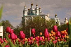 автобусное направление Санкт-Петербург — Смоленск вошло в топ-10 самых популярных на майские праздники - фото - 1